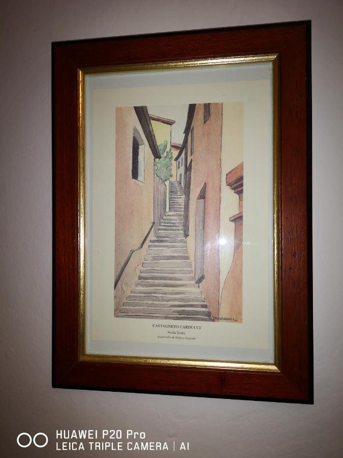 Il Nespolo Villa Castagneto Carducci Kültér fotó